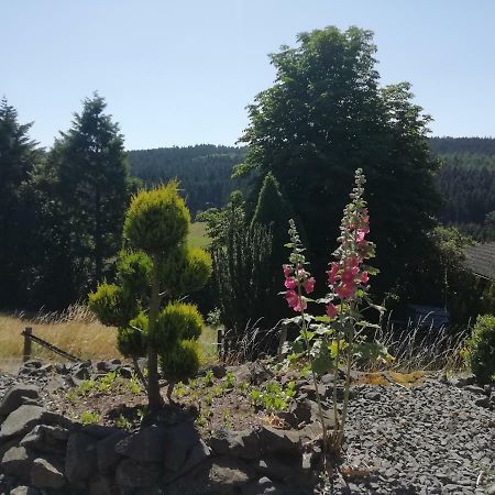 Fewo Koeppe Kopp Buitenkant foto